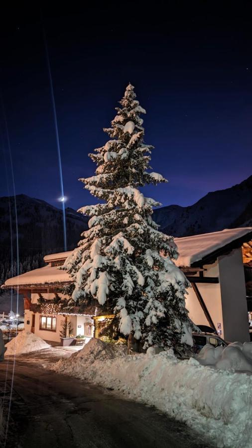 Hotel Almhof Hochfügen Extérieur photo