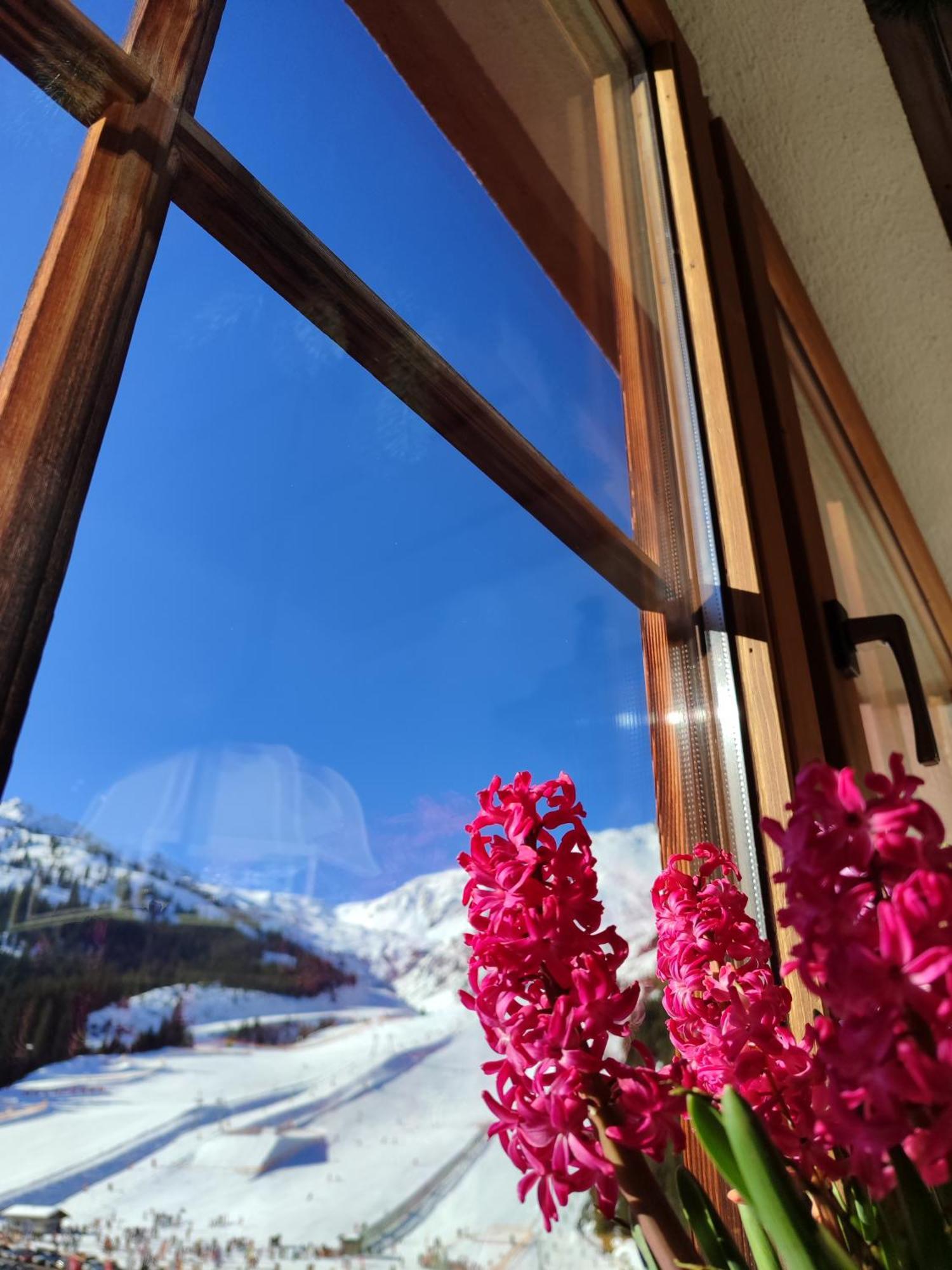 Hotel Almhof Hochfügen Extérieur photo